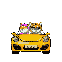 Riding Dirty Fast Lane Sticker by $DOG