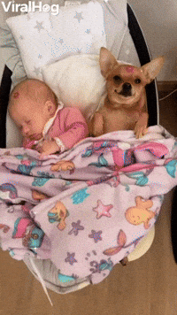 Who's the Real Baby Here