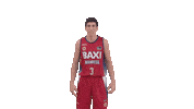 Vamos Liga Endesa Sticker by ACB