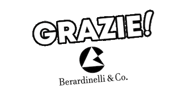 berardinelliandco wow cool marketing book Sticker
