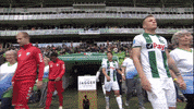 GIF by FOX Sports