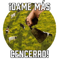 College Football More Cowbell Sticker by Sealed With A GIF