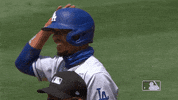 Regular Season Sport GIF by MLB