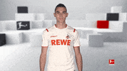 Football Soccer GIF by Bundesliga