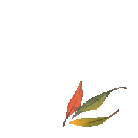 kru4inski fall autumn leaf leaves Sticker