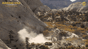 Running Wild Landscape GIF by National Geographic Channel