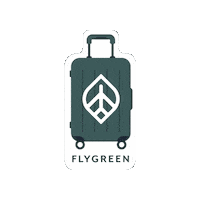 Flying Private Jet Sticker by Momentum Ventures