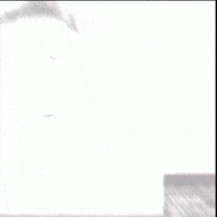 Hshplays GIF