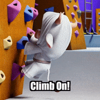 Gym Climb On GIF by Sagemoohammad