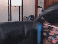 Laugh Smile GIF