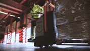 Palibex transporte pale logistica camión GIF