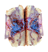 bigfatcookie sweet chocolate dessert cookie Sticker