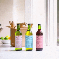 lofiaperitifs lofi lo-fi amaro vermouth GIF