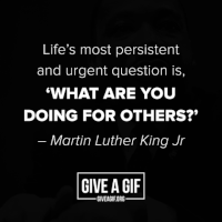 united nations GIF by Give A Gif