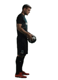 fckrasnodar football ball bull bulls Sticker