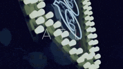 love and hip hop GIF by VH1