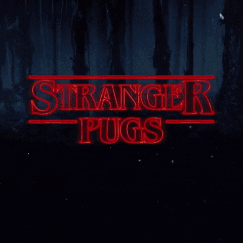 stranger pugs GIF