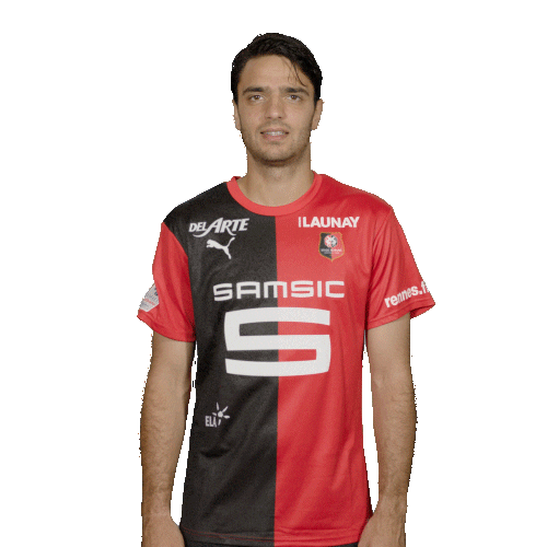 Ligue 1 Football Sticker by Stade Rennais F.C.
