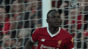 Premier League Football GIF by Liverpool FC