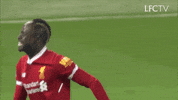 Premier League Football GIF by Liverpool FC