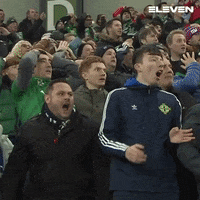 Disappointed Northern-Ireland GIF by ElevenSportsBE