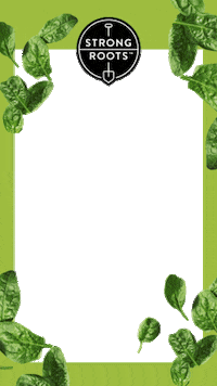 Plant Based Vegan Sticker by Strong Roots