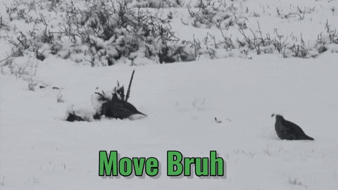 Move It Come On GIF by U.S. Fish and Wildlife Service