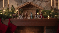 nativity scene gone wild