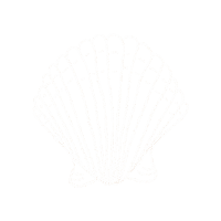 Sand Shell Sticker by Dit et Ecrit