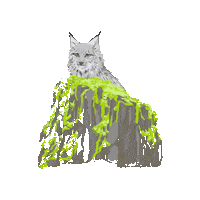 Big Cats Cat Sticker by Woodland Park Zoo