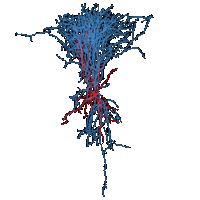 AllenInstitute neuron neurons allen institute Sticker
