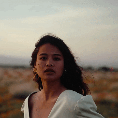 Dolly Parton Indie GIF by Dolly Ave