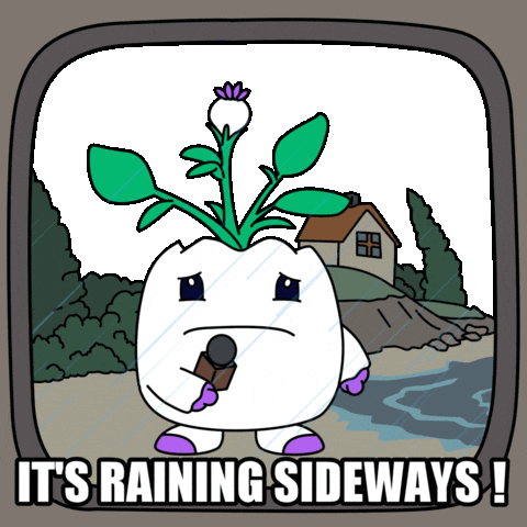 Storming Weather Report Sticker by Magic Eden