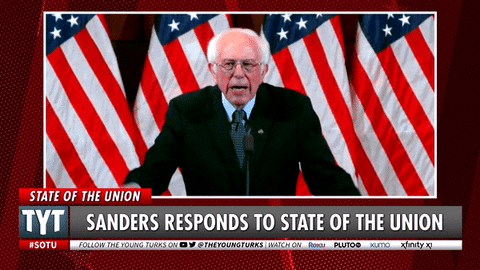 Bernie Sanders Usa GIF by The Young Turks