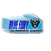 Summercamp Sticker by Hialeah City FC