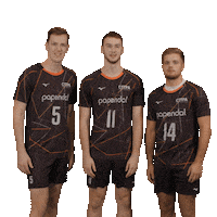 Volleyball Boer Sticker by Nevobo