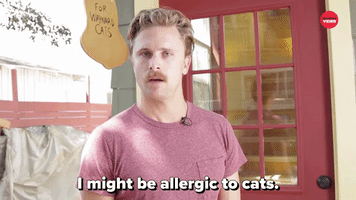 I Might Be Allergic To Cats
