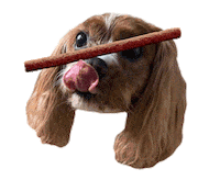 Hungry Dog Sticker by Pup-Peroni®