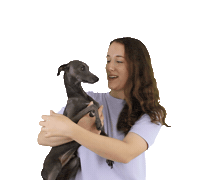 Dogs Italiangreyhound Sticker by Strictly Design