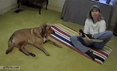 dog people GIF