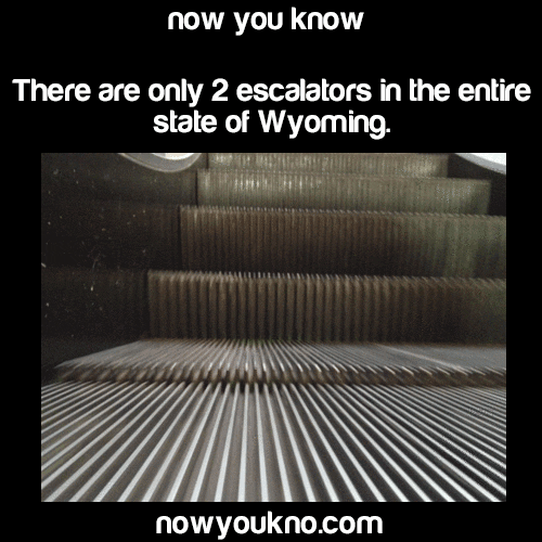 Video gif. Closeup of an escalator as the steps move upward. Text, "Now you know. There are only two escalators in the entire state of Wyoming. NowYouKno.com."