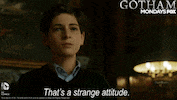gotham GIF by Fox TV