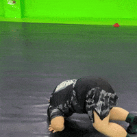 Panda Uzbek GIF
