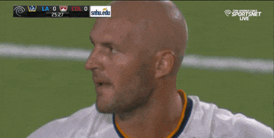 jelle van damme GIF by LA Galaxy