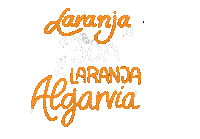 algarviada text typography orange laranja Sticker