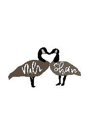 Love Birds Geese Sticker