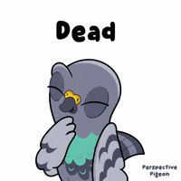 GIF by VeeFriends