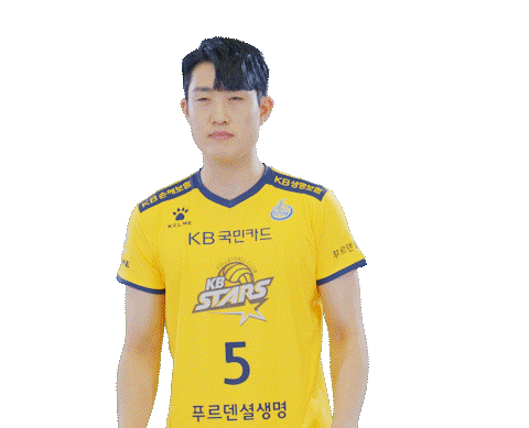 Kb스타즈 Sticker by KB STARS VOLLEYBALL CLUB