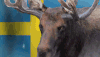 swedish GIF