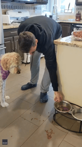 Fussy Dog Only Eats After Owner Pretends to Add Salad Dressing